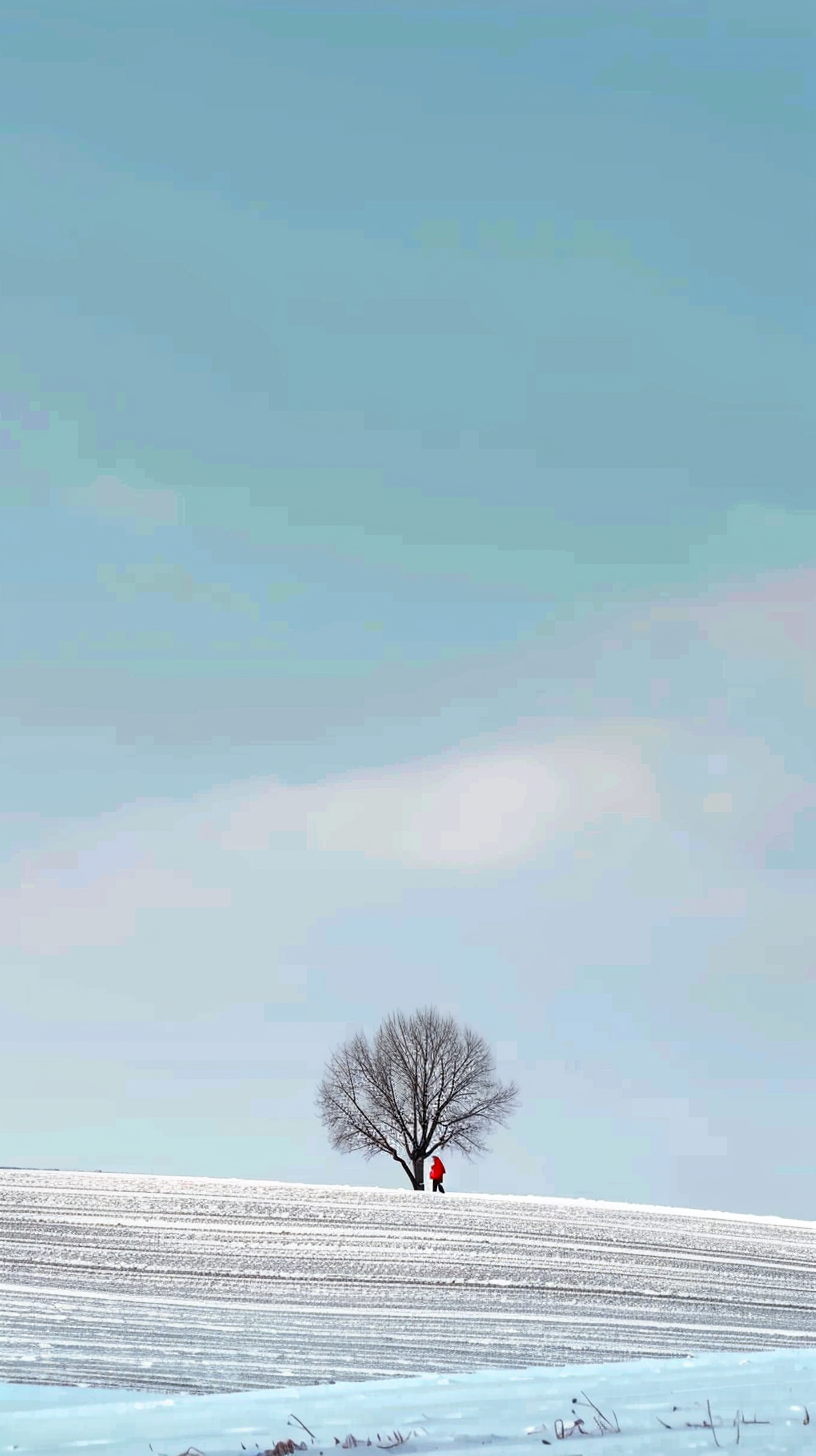 Minimalism Wall Art Prints Style NO 41