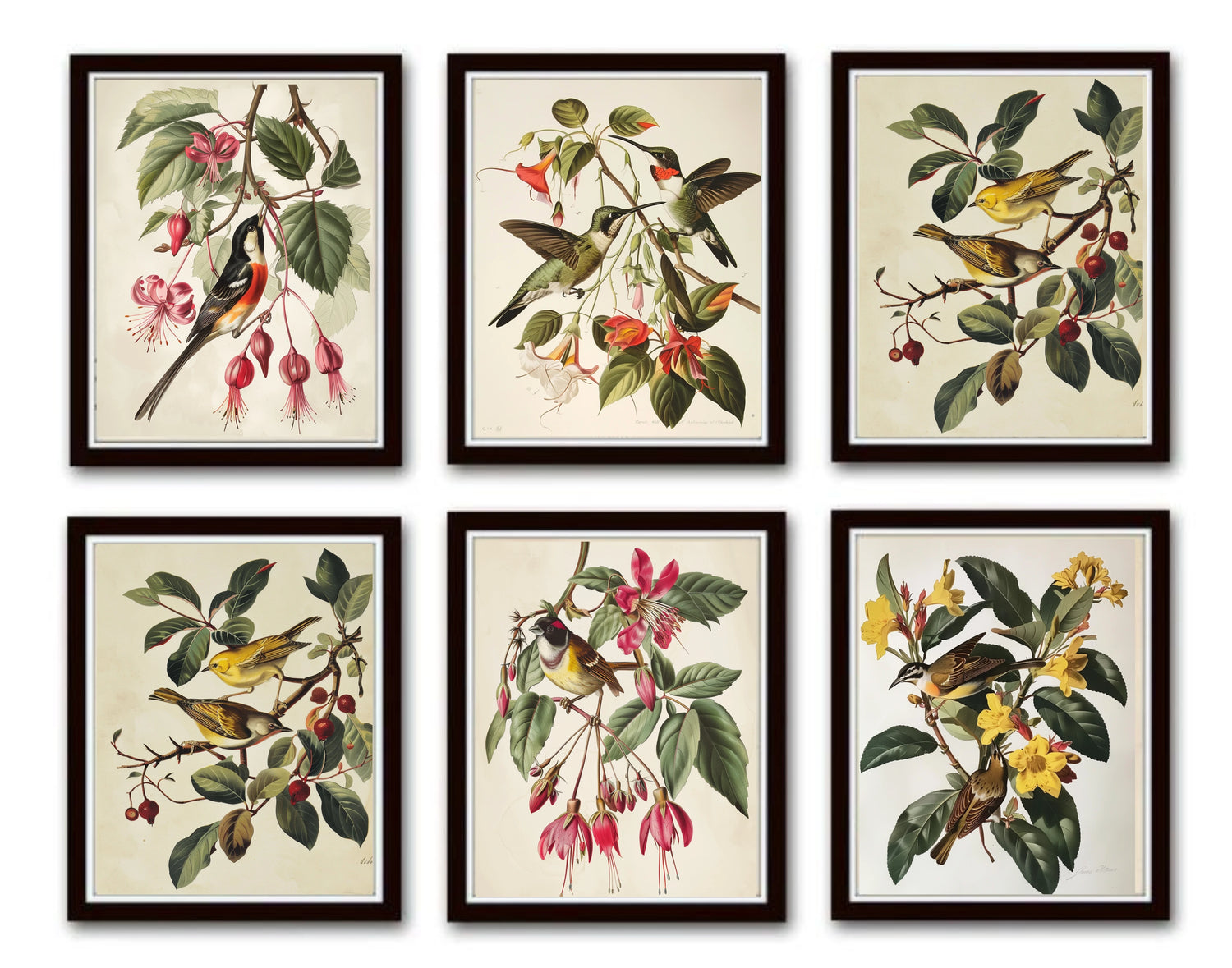 VINTAGE BIRD AND BOTANICAL PRINT SET NO. 8