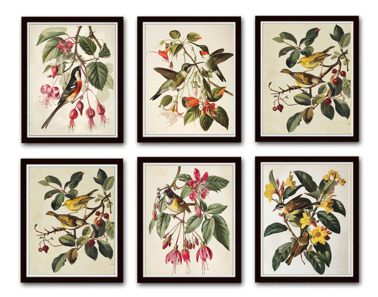 VINTAGE BIRDS AND BOTANICAL PRINT SETS