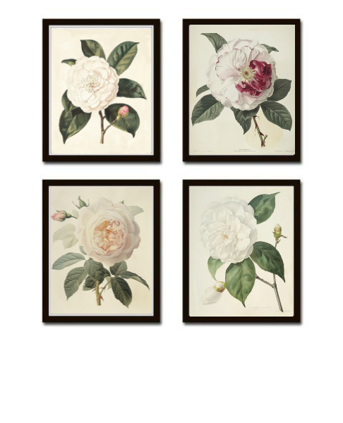 Vintage Flowers Print Set Of 4