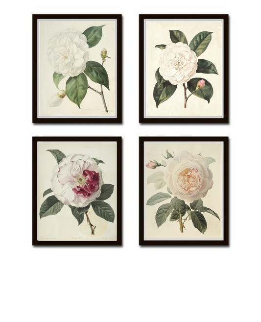 Vintage Flowers Print Set Of 4