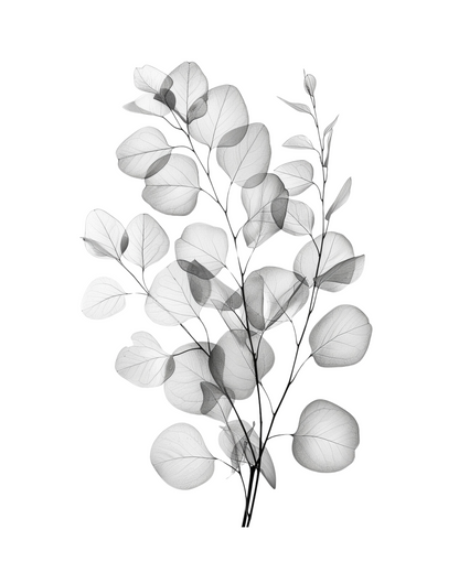 Minimalist Design Style 15