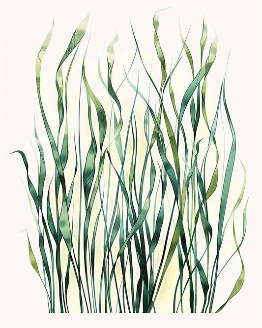 Bathroom Wall Art Prints Style NO 101